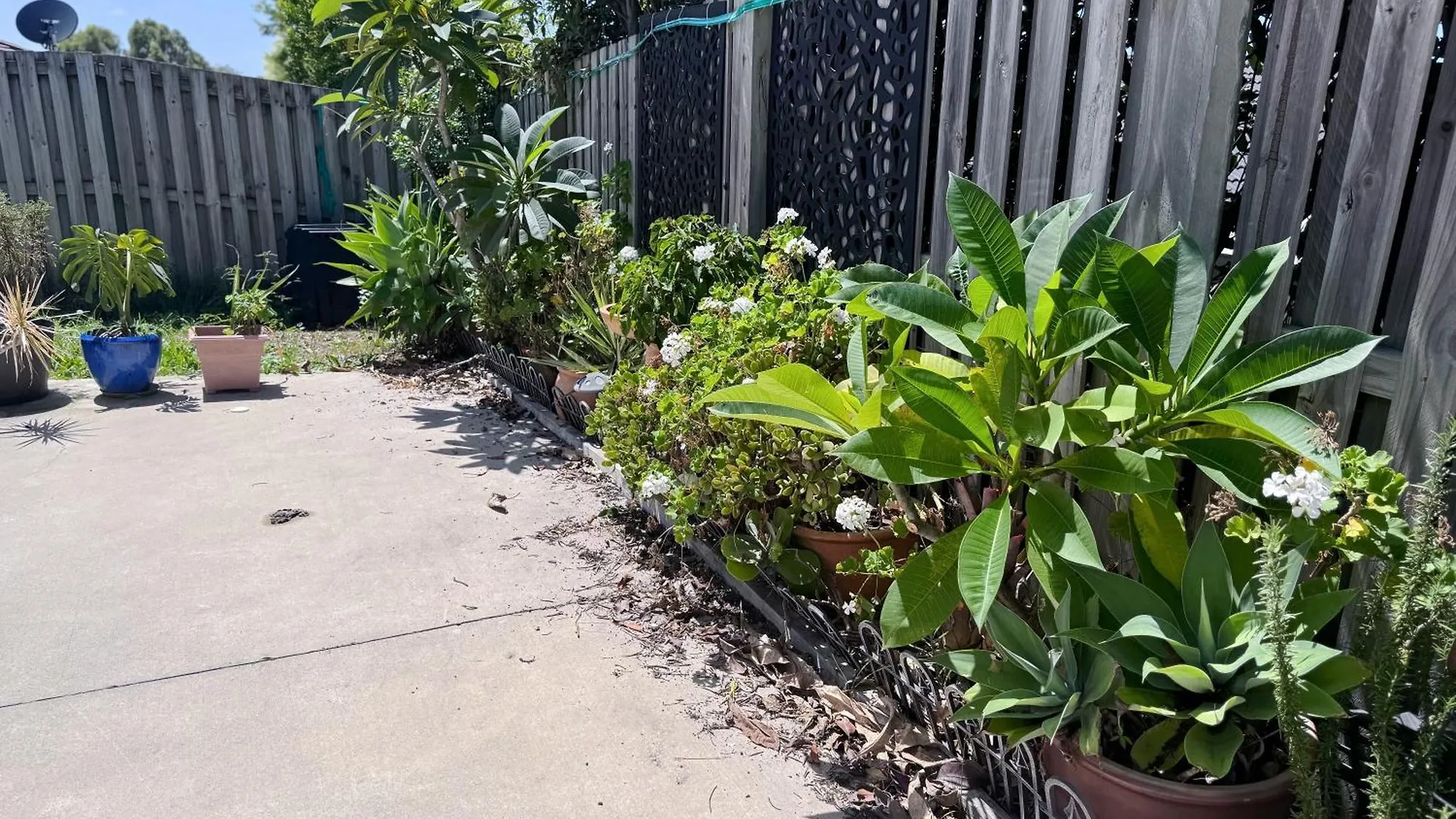 Serenity Park Escape At Pimpama Villa